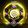 Download track See The Light (Remix)