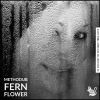 Download track Fern Flower (Original Mix)