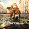 Download track Look Around