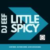 Download track A Little Spicy (Matthieu B Remix)