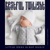 Download track Calm Sleep Music