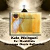 Download track Njoo Uokolewe