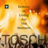 Download track Ecstasy Or Living For The Moment (Instrumental)