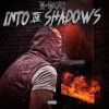 Download track Into The Shadows