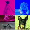 Download track Casual Ambiance For Lonely Dogs