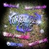 Download track Forbidden Love