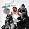 Download track Baby Apes