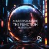 Download track The Function