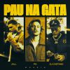 Download track Pau Na Gata (Remix)