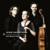 Download track Piano Trio In E Flat Major, Op. 38 After The Septet, Op. 20 IV. Andante Con Variazioni'