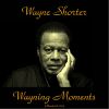 Download track Wayning Moments (Remastered 2015)