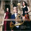 Download track 11 Violin Sonata No. 3 In D Minor, Op. 108 IV. Presto Agitato