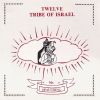 Download track Twelve Tribes Of Israel [12' Mix]