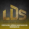 Download track Los Tlacololeros / Son De Victoria / Son De Mi Costa / El Burro Loco