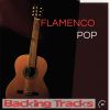 Download track Flamenco Pop Backing Track - D Minor