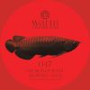 Download track Arowana