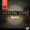 Download track Digital Love (Lorenzo Molinari Remix)