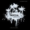 Download track Tropical Groove (Ck Pellegrini House Mix)