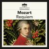 Download track Requiem In D Minor, K. 626: Confutatis: Andante