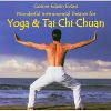 Download track Tai Chi Dance