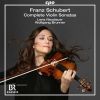 Download track Violin Sonata No. 1 In D Major, Op. 137, D. 384: II. Andante