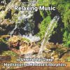 Download track Relaxing Music, Pt. 1