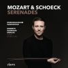 Download track Serenade For Small Orchestra, Op. 1: Allegro Ma Non Troppo