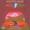 Download track Haunted House (Hoochie Coochie Papa Remix)