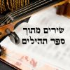 Download track Keili Ata Chabad