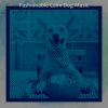 Download track Superlative Solo Piano Jazz - Vibe For Doggy Training