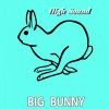 Download track Minimum Format (Big Bunny Remix)