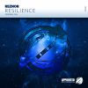 Download track Resilience (Original Mix)