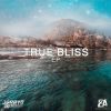 Download track True Bliss