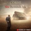 Download track She Reminds Me (Pierce Hill Remix)