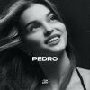 Download track Pedro (Techno)