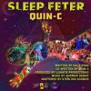 Download track Sleep Feter (Instrumental)