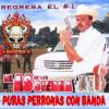 Download track Los Potreros De La Sierra