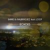 Download track Echoes (Banks & Rawdriguez Vs. Træd! C Remix)