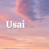 Download track Usai