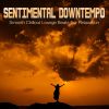 Download track Deeper In The Night (Ethnic Sentimental Chill Mix)