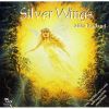 Download track Silver Wings 2