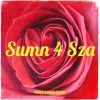 Download track Sumn 4 Sza