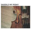 Download track Saddle My Pony