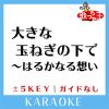 Download track 大きな玉ねぎの下で～はるかなる想い～ + 4Key (原曲歌手: 爆風スランプ)