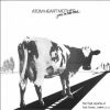 Download track Atom Heart Mother