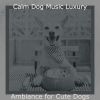 Download track Luxurious Solo Piano Jazz - Vibe For Doggy Training