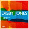 Download track Funky (Funky Dub)