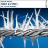 Download track Cold As Steel (Original Mix)