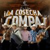 Download track Entre Golpes Y Besos (En Vivo)