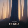 Download track My Honey